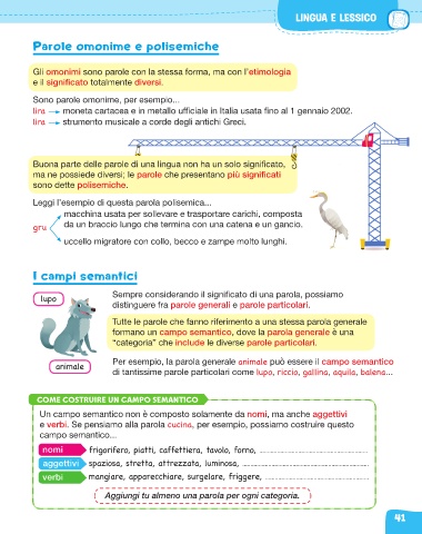 Page 43 Investigatesto Grammatica5
