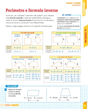 Page Sussidiario Delle Discipline 5 Matematica