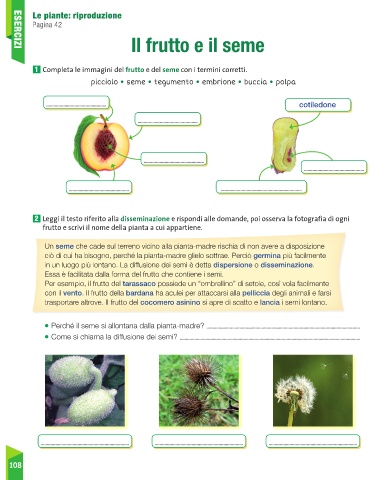 avvicinamento di un' bianca vaso di fiori e donna di mani con bianca guanti  preparazione il suolo per piantare fiori in un' pentola. piantare fiori nel  il giardino casa. giardinaggio a estate